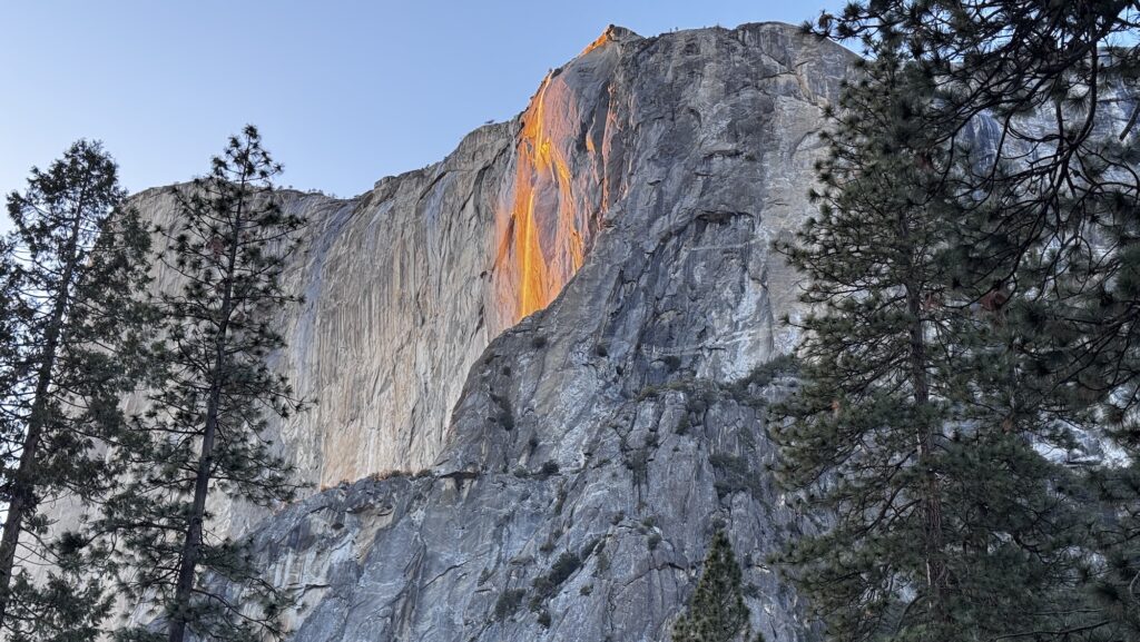 view of Firefall through the trees in February in the Yosemite Valley