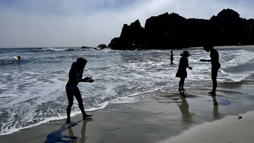 kids looking for sand crabs at the beach in Big Sur on a summer day